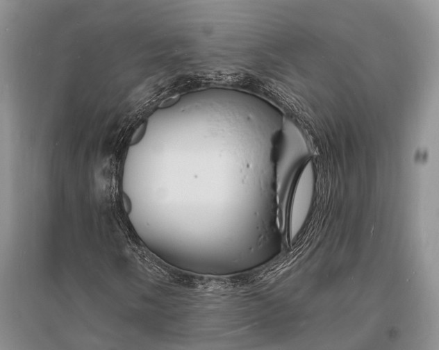 X0000096391058200802071531