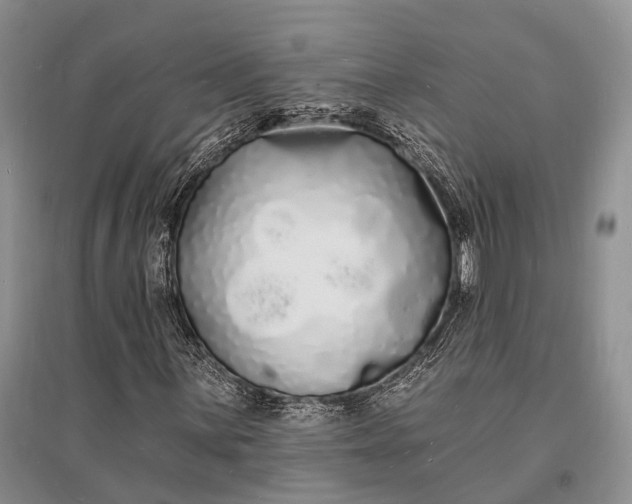 X0000096391059200802071531