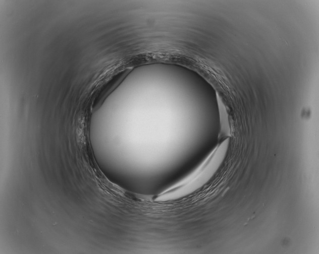 X0000096391060200802071531