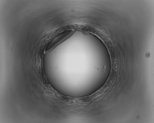 X0000096391061200802071531