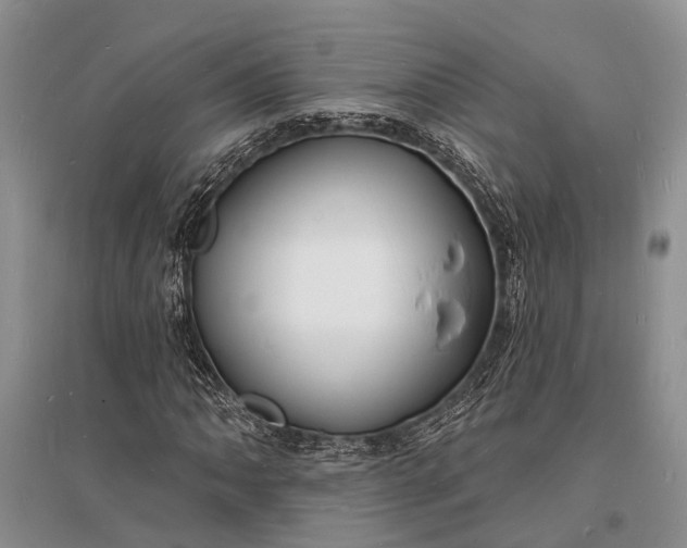 X0000096391062200802071531
