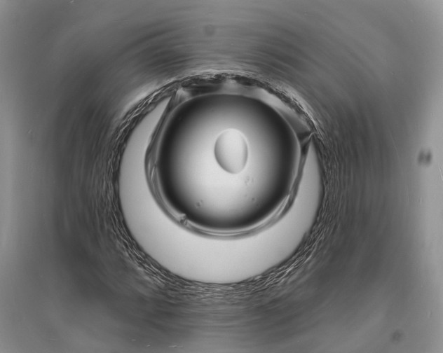 X0000096391064200802071531