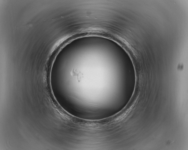 X0000096391066200802071531