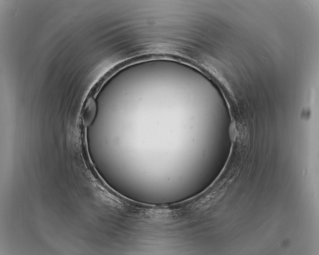 X0000096391068200802071531