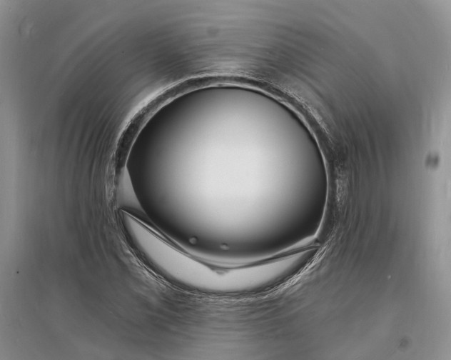 X0000096391069200802071531