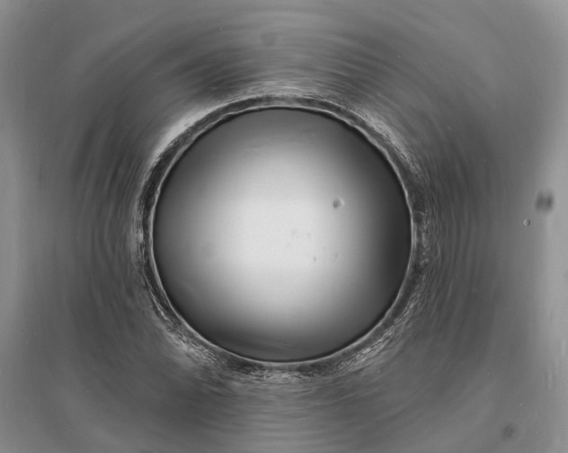 X0000096391070200802071531