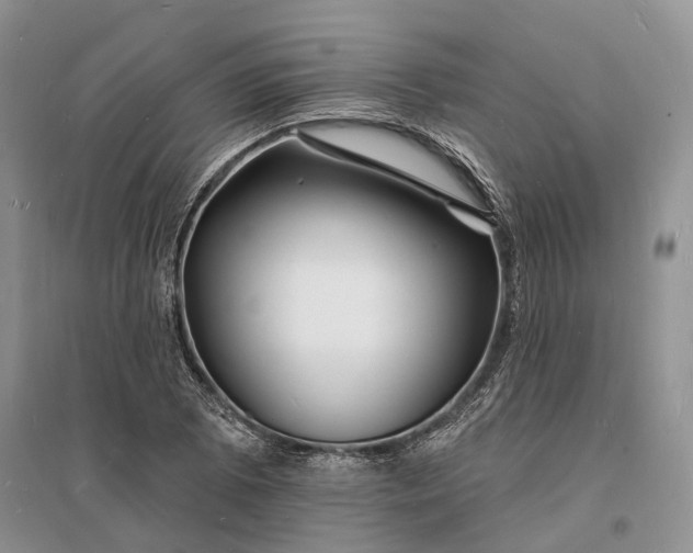 X0000096391073200802071531