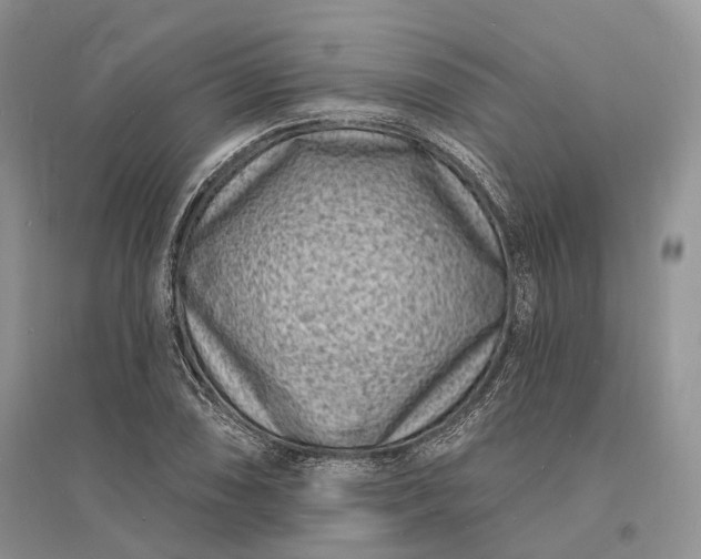 X0000096391074200802071531