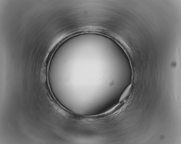 X0000096391075200802071531