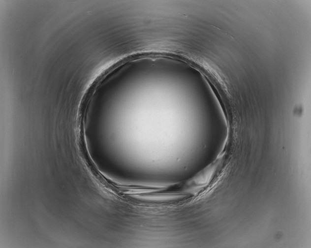 X0000096391077200802071531