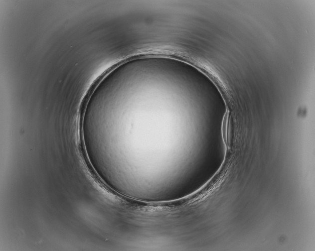 X0000096391079200802071531