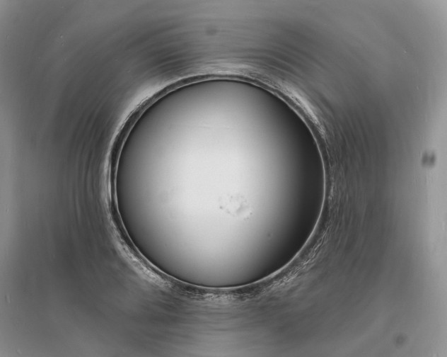 X0000096391080200802071531