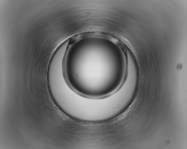 X0000096391081200802071531