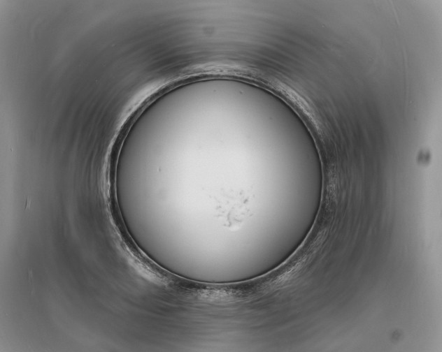 X0000096391082200802071531
