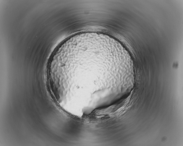 X0000096391083200802071531