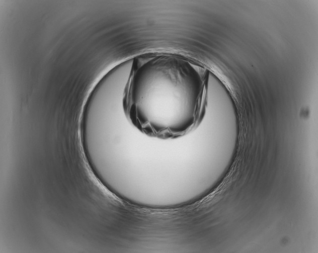 X0000096391084200802071531