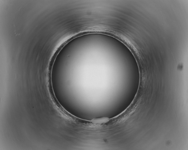X0000096391085200802071531
