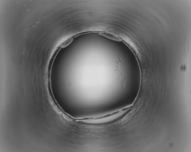 X0000096391088200802071531