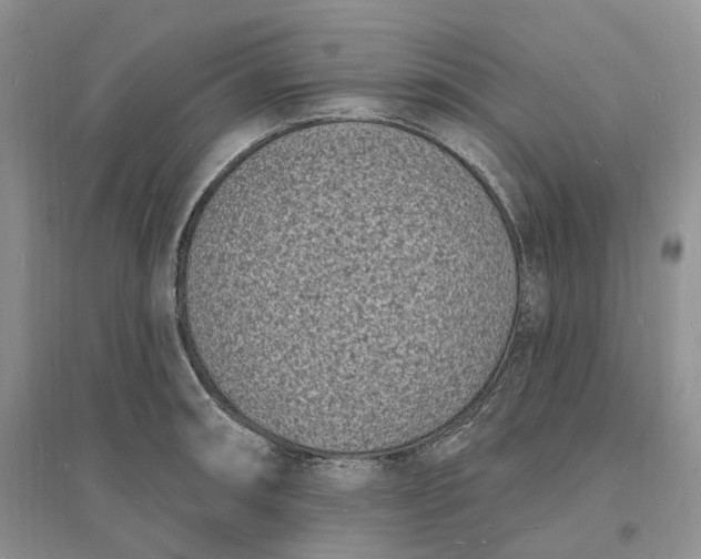 X0000096391090200802071531