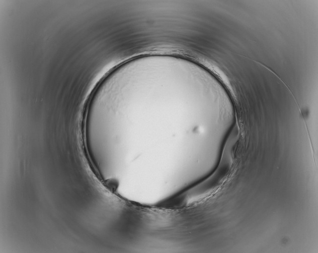 X0000096391091200802071531