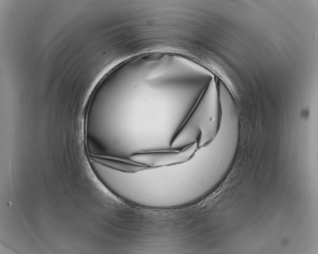X0000096391092200802071531