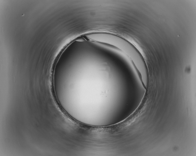 X0000096391093200802071531
