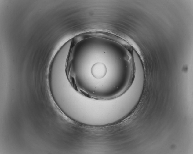 X0000096391096200802071531