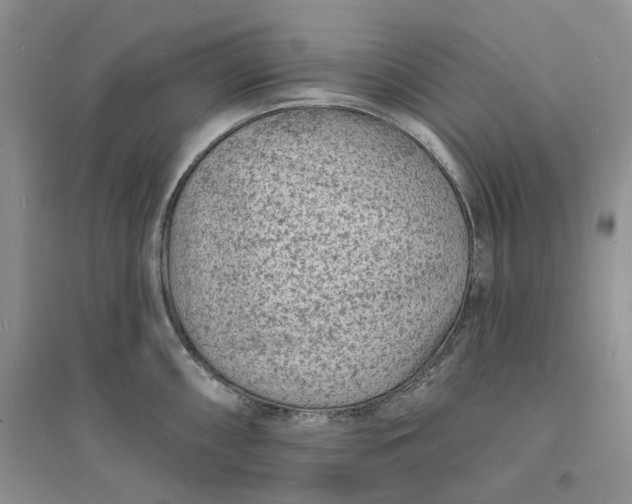 X0000096391098200802071531