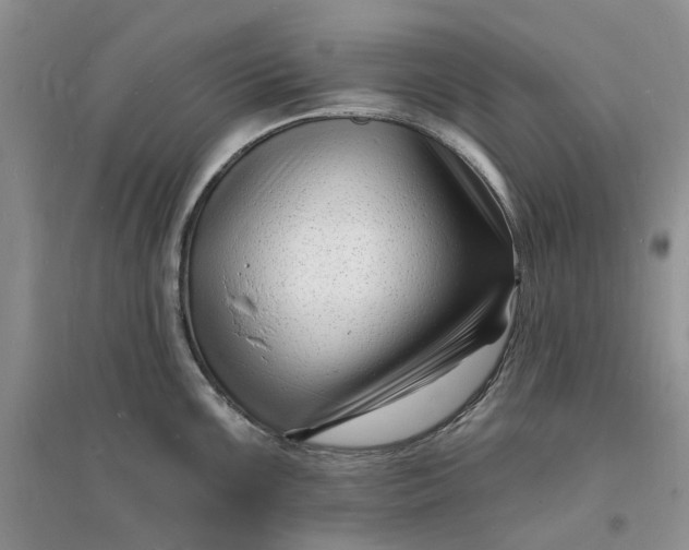 X0000096391099200802071531
