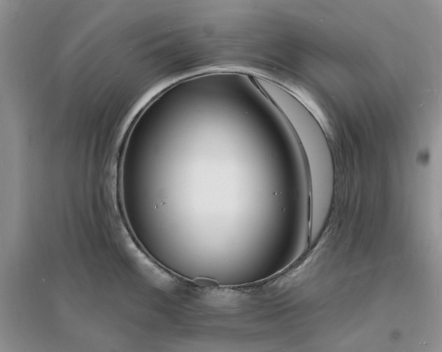 X0000096391100200802071531
