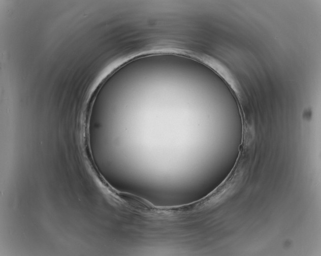 X0000096391101200802071531