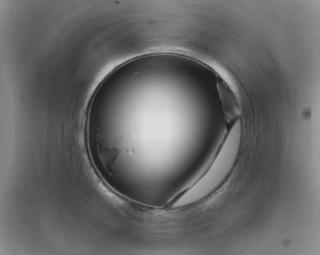 X0000096391102200802071531