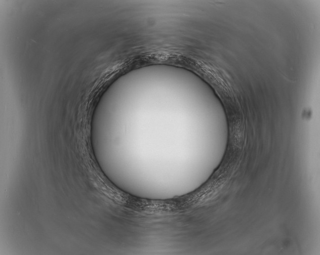 X0000096391105200802071530