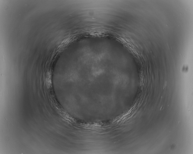 X0000096391106200802071530