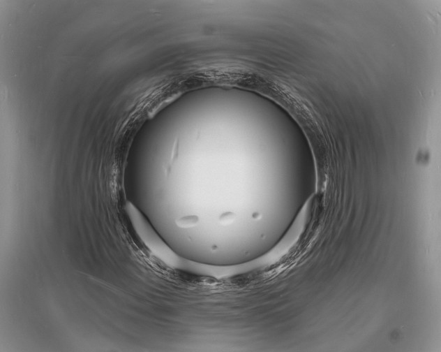 X0000096391108200802071530