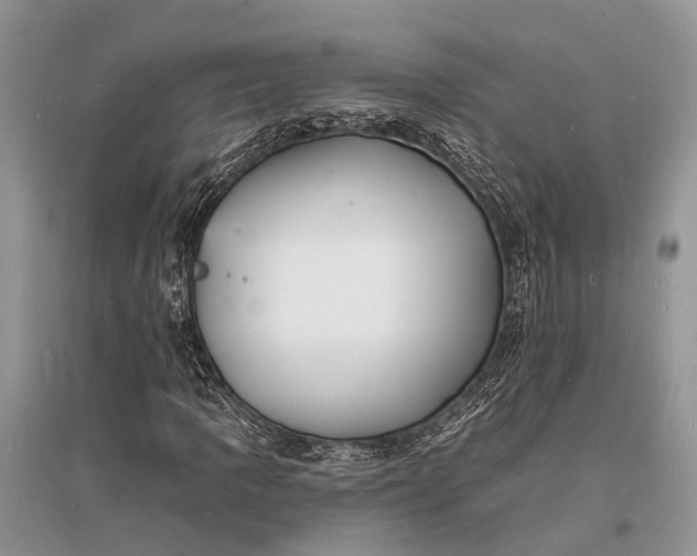 X0000096391109200802071530