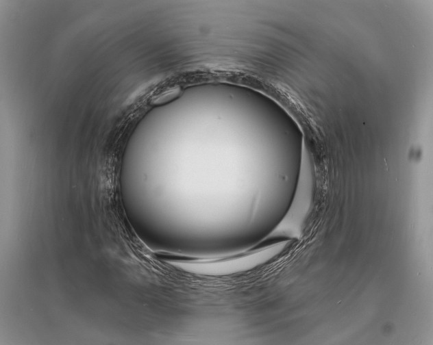 X0000096391110200802071530