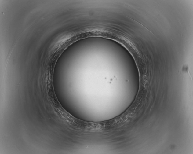 X0000096391111200802071530