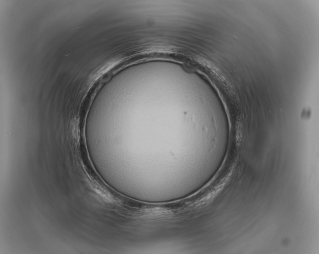 X0000096391113200802071530