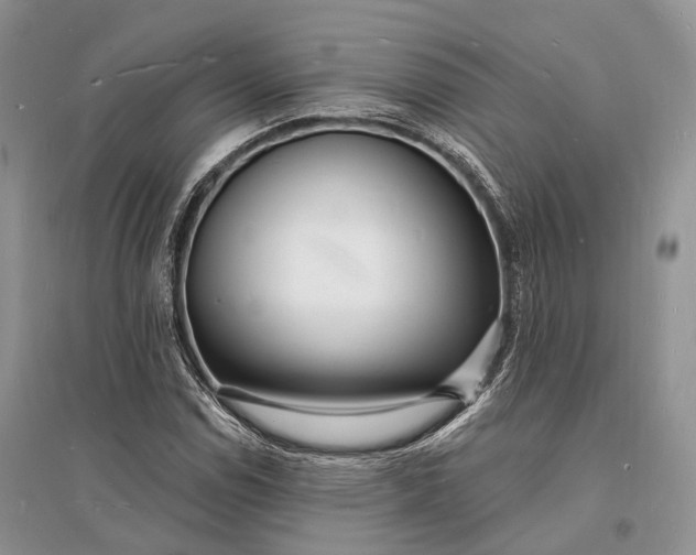 X0000096391114200802071530
