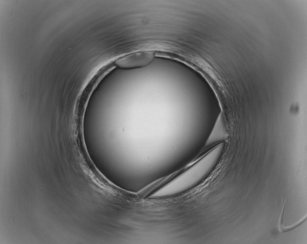 X0000096391116200802071530