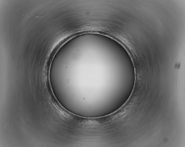 X0000096391119200802071530