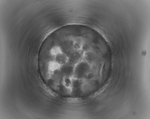 X0000096391121200802071530