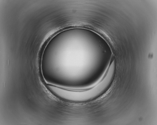X0000096391122200802071530