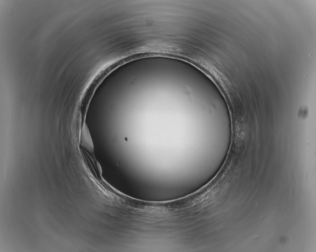 X0000096391123200802071530