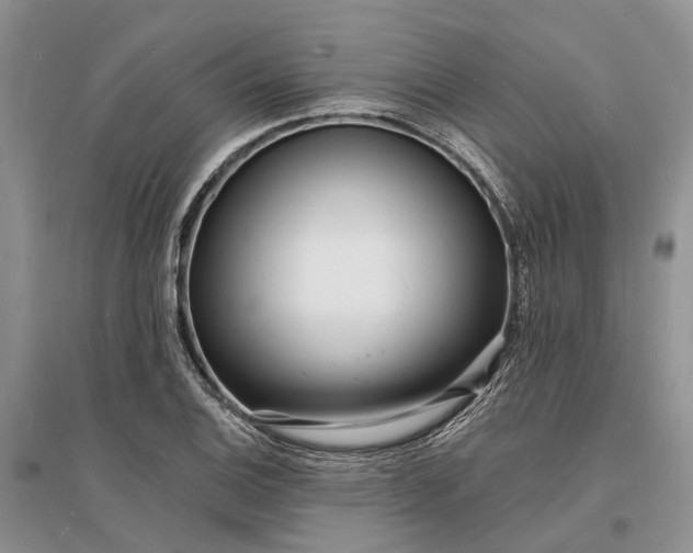 X0000096391124200802071530