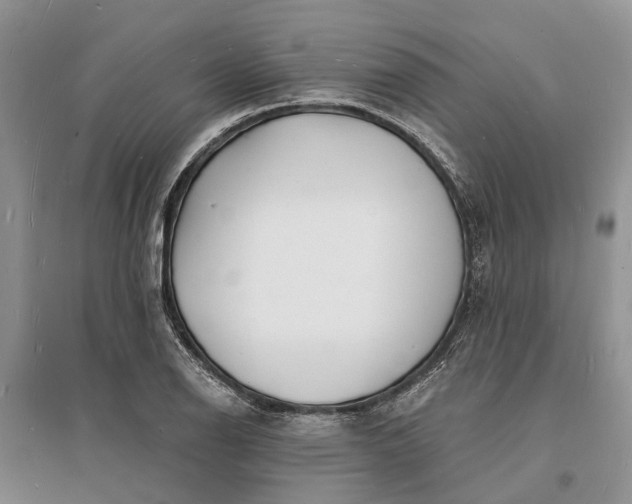 X0000096391126200802071530