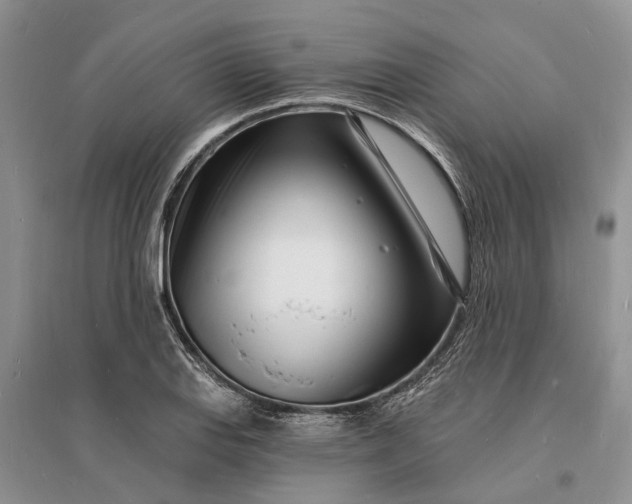 X0000096391127200802071530