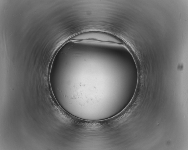 X0000096391129200802071530