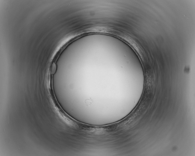 X0000096391131200802071530